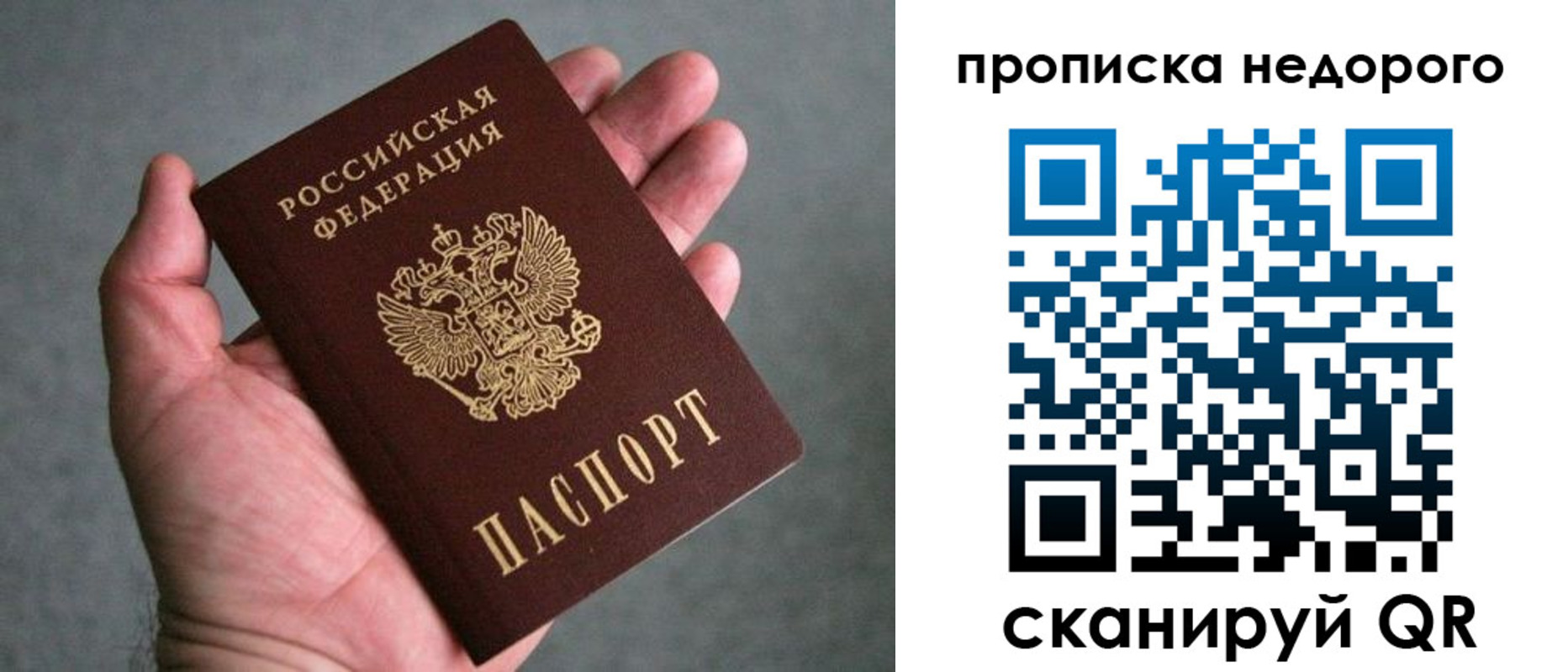 прописка поиск в Рубцовске
